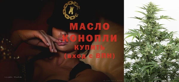 дмт Ельня