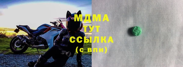 дмт Ельня