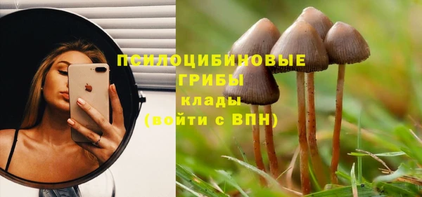 бутират Дмитровск