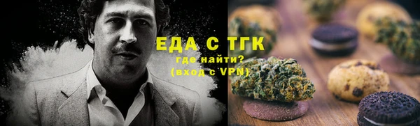 дмт Ельня