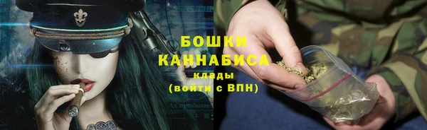 дмт Ельня