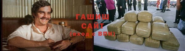 дмт Ельня