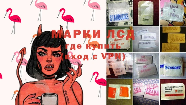 дмт Ельня