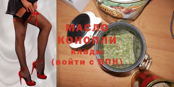 хмурый Дмитриев