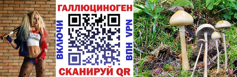 Галлюциногенные грибы мицелий  магазин    Северодвинск 